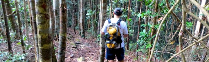 Gunung Arong - Share My Hikes | Hikers For Life