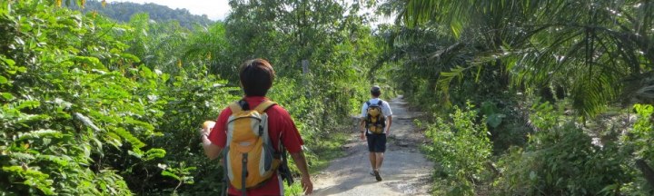 Gunung Arong - Share My Hikes | Hikers For Life