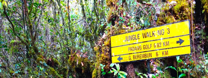 Gunung Berembum - Share My Hikes