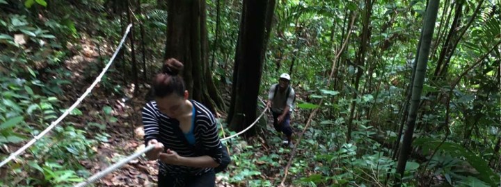 Lesung National Park