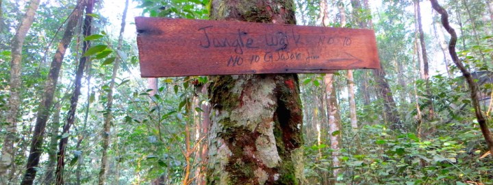 Gunung Jasar - Share My Hikes | Hikers For Life