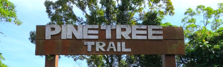 Fraser Hill - Pine Tree Trail | Hikers For Life