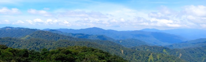 Fraser Hill - Pine Tree Trail | Hikers For Life