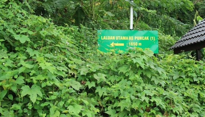 Gunung Baling Signboard