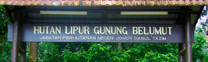 Gunung Belumut - Share My Hikes | Hikers For Life