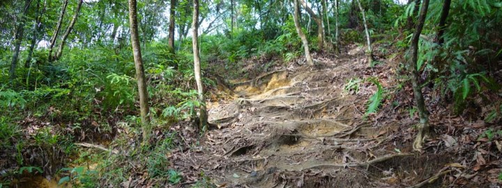 Bukit Kledang - Share My Hikes