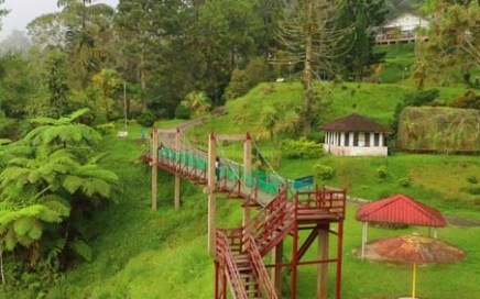 Bukit Larut Hanging Bridge