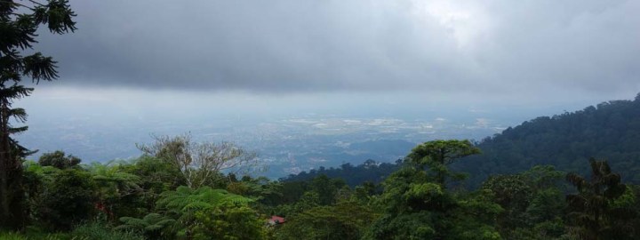 Bukit Larut - Share My Hikes