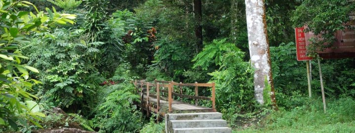 Bukit Larut - Share My Hikes