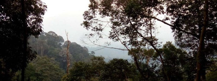 Bukit Chenuang