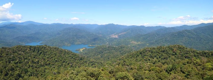 Bukit Kutu - Share My Hikes