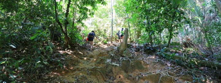 Bukit Kutu upslope