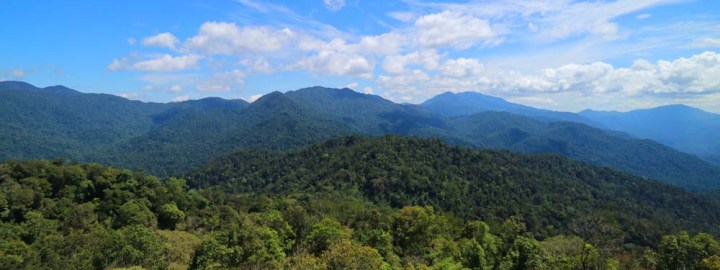 Bukit Kutu - Share My Hikes