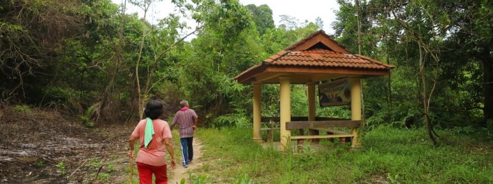 Bukit Mor Trek