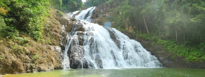 Taman Negara Johor