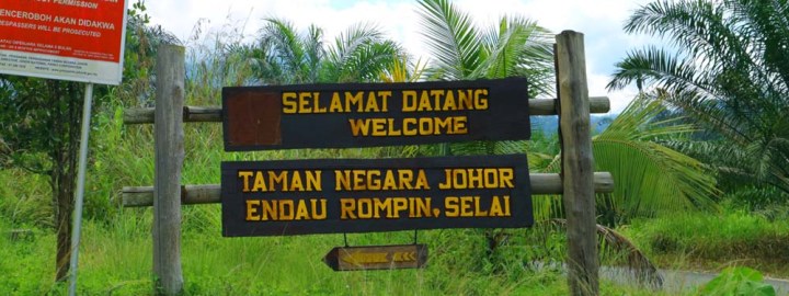 Endau Rompin Selai