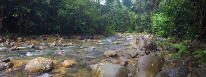 Endau Rompin Hike