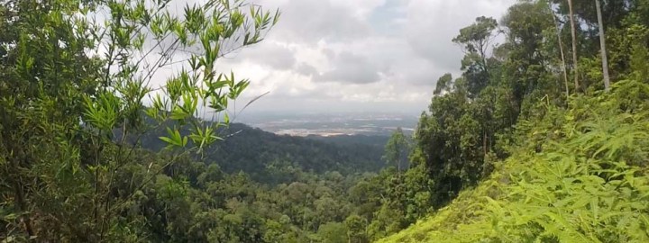 Gunung Pulai - Share My Hikes