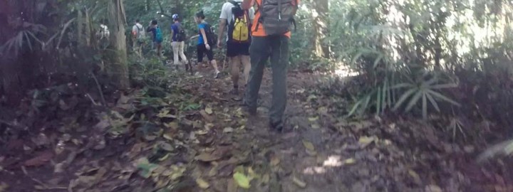 Gunung Pulai - Share My Hikes