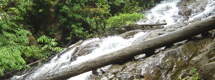 Pelepah Waterfalls - Share My Hikes | Hikers For Life