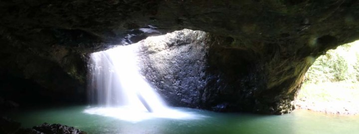 Springbrook National Park