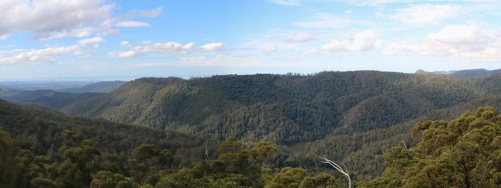 Springbrook National Park