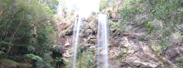 Springbrook National Park