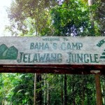 Gunung Stong - Gunung Ayam - Gunung Baha